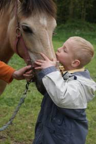 image009