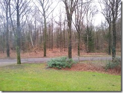 20120108_111431