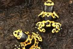 d6e71987c070eddcb7f50b3cc4069e010cd4ffe5