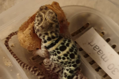 IMG_20190519_020918_805