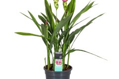 48143-00-BAKIE_20190520151547