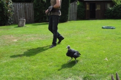 Orchideenhoeve en Oliemeulen aug. 2015 024