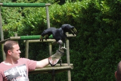 Orchideenhoeve en Oliemeulen aug. 2015 025