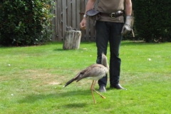 Orchideenhoeve en Oliemeulen aug. 2015 028