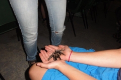 Orchideenhoeve en Oliemeulen aug. 2015 035