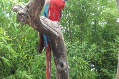 Orchideenhoeve en Oliemeulen aug. 2015 050