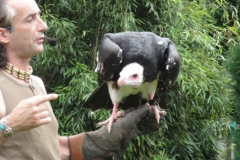 Orchideenhoeve en Oliemeulen aug. 2015 063