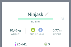 Ninjask