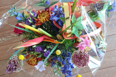 bloemen  Miek, Nienke, Michel, Ilja, Lisa en Aadesh