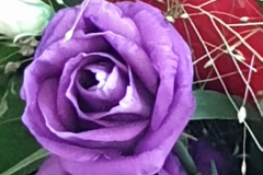 bloemen  Miek, Nienke, Michel, Ilja, Lisa en Aadesh